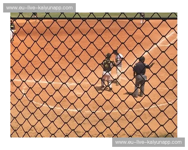 开云体育体育观察：洞见未来体育新格局